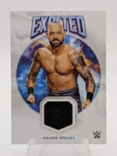 2025 Topps Exalted WWE Wrestling Exalted Relics Shawn Spears #ER-SSS card