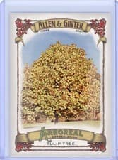 Tulip Tree 2021 Topps Allen & Ginter Arboreal Appreciation card