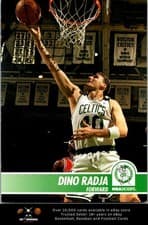 Dino Radja