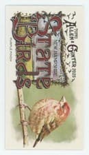 2025 Topps Allen & Ginter State Birds (Minis) Purple Finch - New Hampshire #SB-29 card