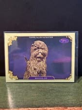 2024 Topps Allen & Ginter Stars of the Show The Westminster Kennel Club Banana Joe #SOS-40 card