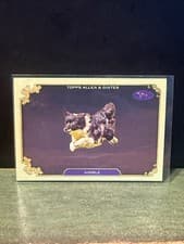 2024 Topps Allen & Ginter Stars of the Show The Westminster Kennel Club Nimble #SOS-34 card