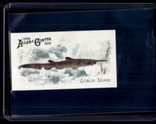2025 Topps Allen & Ginter 50 Fish From Global Waters (Minis) Goblin Shark #FGW-41 card