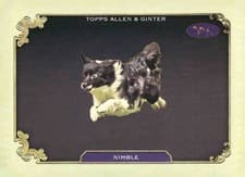 2024 Topps Allen & Ginter Stars Of The Show Nimble #SOS-34 card