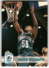 David Wingate 1993-94 Hoops Base Set card