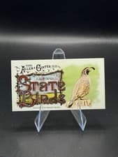 2025 Topps Allen & Ginter State Birds (Minis) California Valley Quail - California #SB-5 card