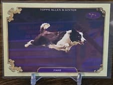 2024 Topps Allen & Ginter Stars Of The Show Tommy #SOS-6 card