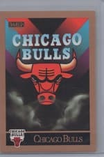 Chicago Bulls Logo/Checklist 1990-91 SkyBox Base Set card