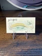 2025 Topps Allen & Ginter 50 Fish From Global Waters (Minis) Moray Eel #FGW-28 card