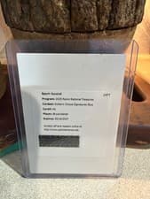 2025 Panini National Treasures Ecklar's Choice Signatures Bryce Rainer #43 card