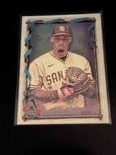 Blake Snell