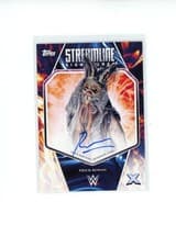 2025 Topps Exalted WWE Wrestling Streamline Signatures Erick Rowan #STS-ERW card