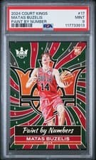 2024-25 Panini Court Kings Paint by Number Matas Buzelis #17 card