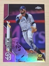 Fernando Tatis Jr.