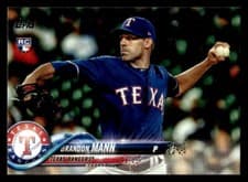 Brandon Mann