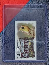 2025 Topps Allen & Ginter State Birds (Minis) Western Meadowlark - Kansas #SB-16 card