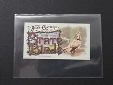 2025 Topps Allen & Ginter State Birds (Minis) Ruffed Grouse - Pennsylvania #SB-38 card