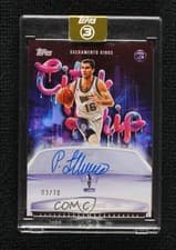 2025-26 Topps 3 City Drip Signatures Peja Stojakovic #CD-PS card