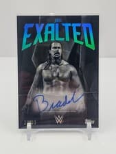 2025 Topps Exalted WWE Wrestling Black and White Signatures JBL #BWS-JBL card
