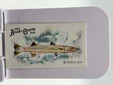 2025 Topps Allen & Ginter 50 Fish From Global Waters (Minis) Barracuda #FGW-1 card