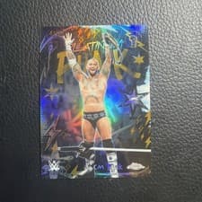 2026 Topps Chrome WWE Platinum Punk CM Punk #PLP-13 card