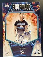 2025 Topps Exalted WWE Wrestling Streamline Signatures CM Punk #STS-CMP card