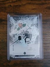 2024-25 Upper Deck Black Diamond Diamond Futures Logan Stankoven #BDF-LS card