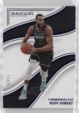 Rudy Gobert