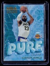 2024-25 Hoops Pure Players LeBron James #8 card