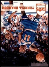 Terrell Brandon 1993-94 Hoops Base Set card