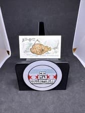 2025 Topps Allen & Ginter 50 Fish From Global Waters (Minis) Pacific Footballfish #FGW-48 card