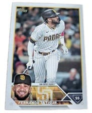 Fernando Tatis Jr.