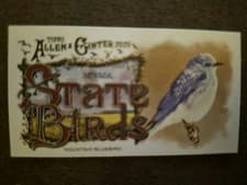 Mountain Bluebird - Nevada 2025 Topps Allen & Ginter State Birds (Minis) card
