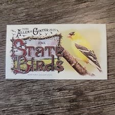 2025 Topps Allen & Ginter State Birds (Minis) Eastern Goldfinch - Iowa #SB-15 card