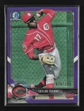 Taylor Trammell