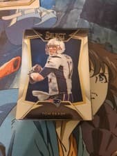 Tom Brady 2014 Panini Select card