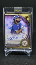 2025 Topps Five Star Five Star Autographs Vladimir Guerrero Jr. #FSA-VGJ card