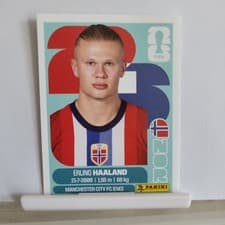 Erling Haaland