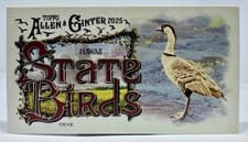 2025 Topps Allen & Ginter State Birds (Minis) Nene - Hawaii #SB-11 card