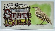 2025 Topps Allen & Ginter State Birds (Minis) Mockingbird - Tennessee #SB-42 card