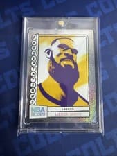LeBron James 2024 Panini NBA Hoops Presentations card
