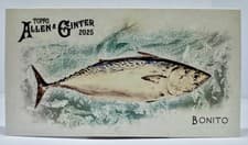 2025 Topps Allen & Ginter 50 Fish From Global Waters (Minis) Bonito #FGW-44 card
