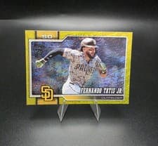 Fernando Tatis Jr.