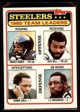 Steelers Team Leaders: Checklist