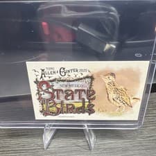 2025 Topps Allen & Ginter State Birds (Minis) Roadrunner - New Mexico #SB-31 card