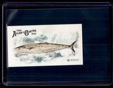 2025 Topps Allen & Ginter 50 Fish From Global Waters (Minis) Wahoo #FGW-20 card
