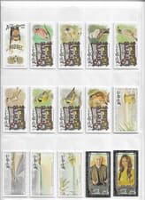 2025 Topps Allen & Ginter State Birds (Minis) Western Meadowlark - North Dakota #SB-34 card