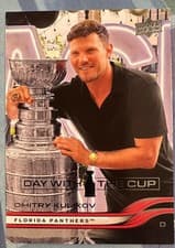 Dmitry Kulikov