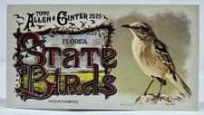 2025 Topps Allen & Ginter State Birds (Minis) Mockingbird - Florida #SB-9 card