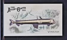 2025 Topps Allen & Ginter 50 Fish From Global Waters (Minis) Viperfish #FGW-46 card